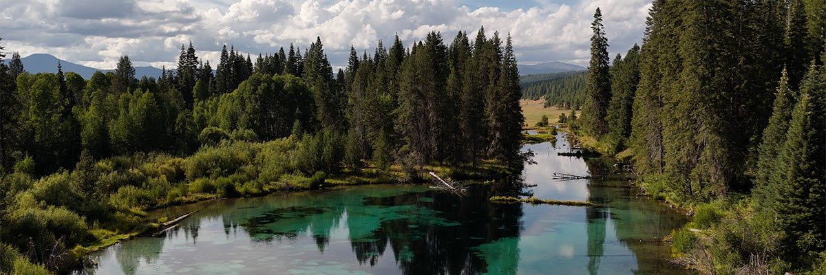 OLLI Travel Lake Overhead Drone Shot