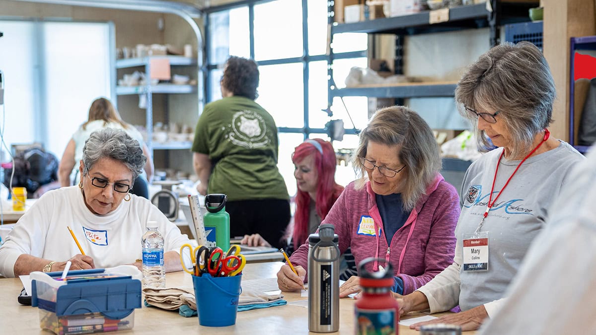 Organzing-and-Planning-OLLI-Members
